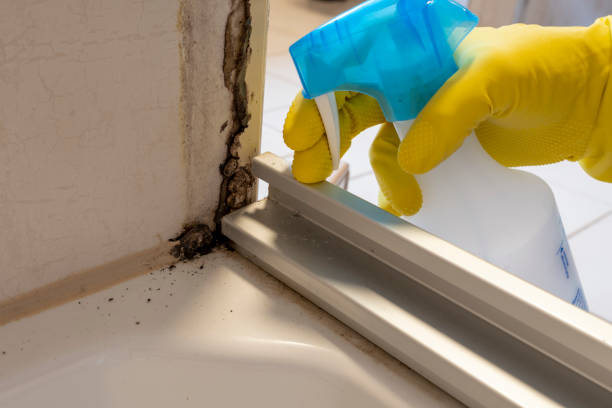 Best Forensic Mold Investigation  in Coburg, OR